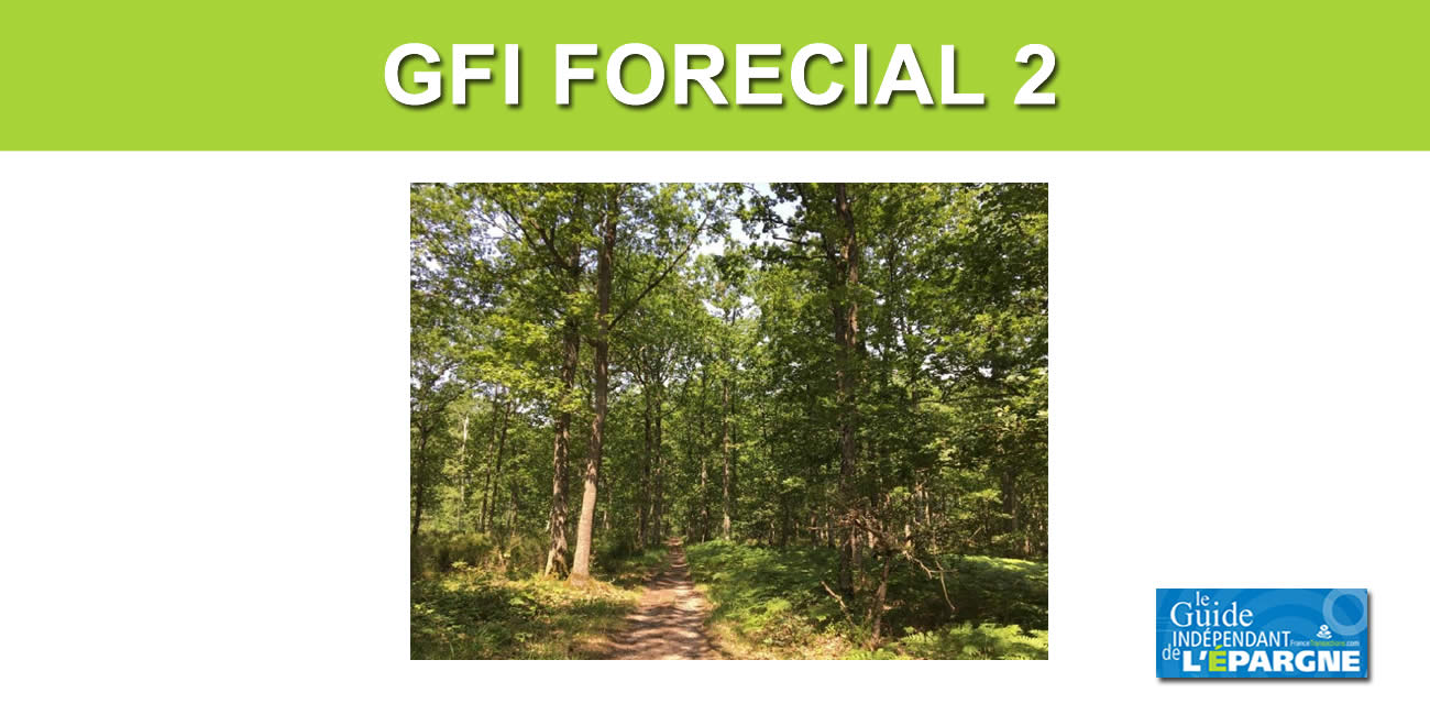 Investissements forestiers : le GFI FORECIAL 2 acquiert 45 hectares dans le Loiret